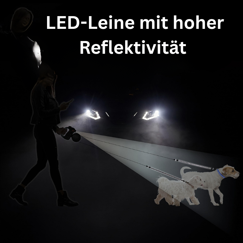 Einziehbare Doppel-Hundeleine mit LED-Licht